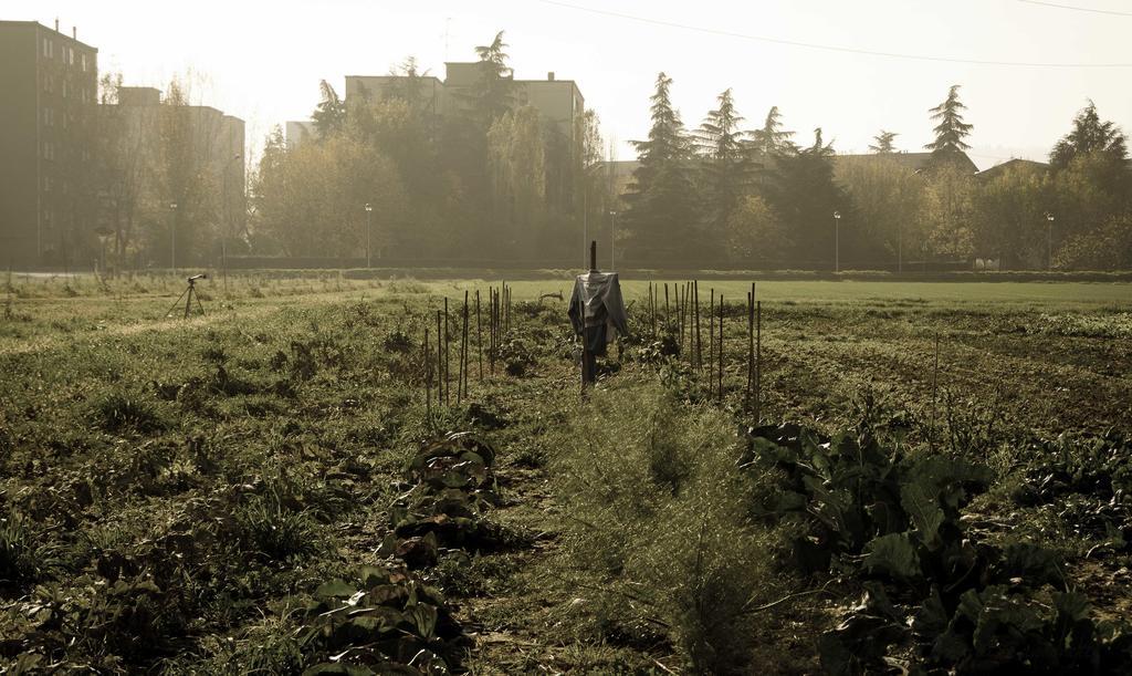 Podere San Giuliano Villa Сан Ладзаро ди Савена Екстериор снимка
